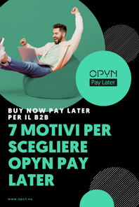 7 motivi per scegliere Opyn Pay Later