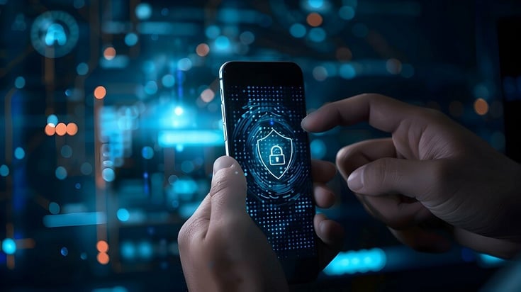 Privacy e sicurezza nel BNPL per le aziende B2B