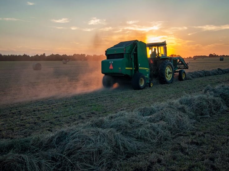 “La Vera Napoli”: l’azienda agricola del Sud che non ha paura del FinTech