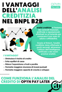 infografica_analisi_creditizia